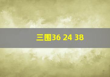 三围36 24 38